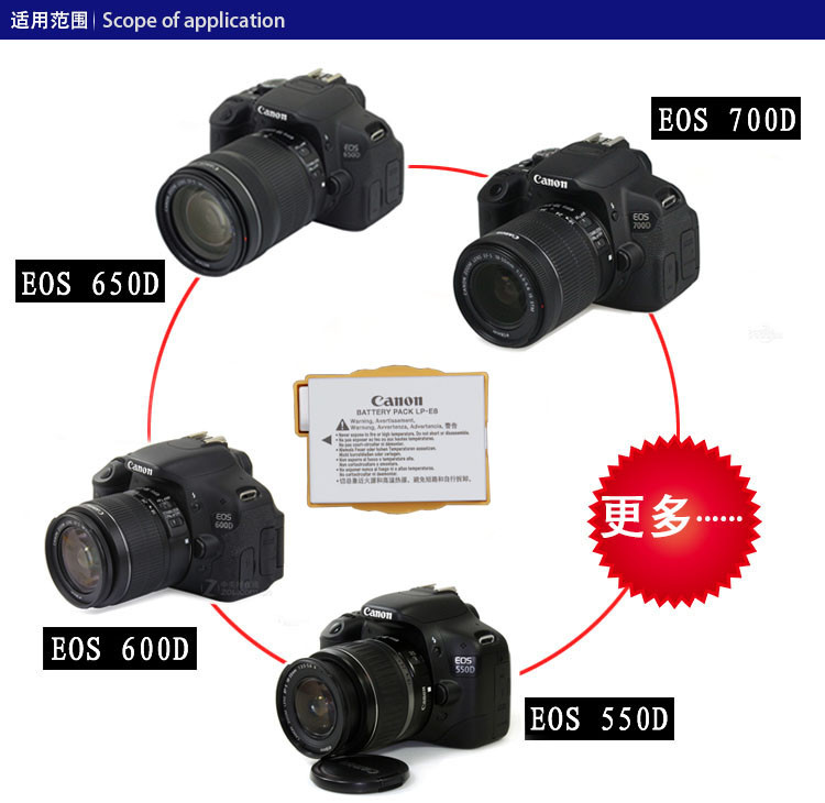相機電池佳能EOS 700D 600D 650D 550D X4 X5 X6i單反相機LC-E8C原裝電池