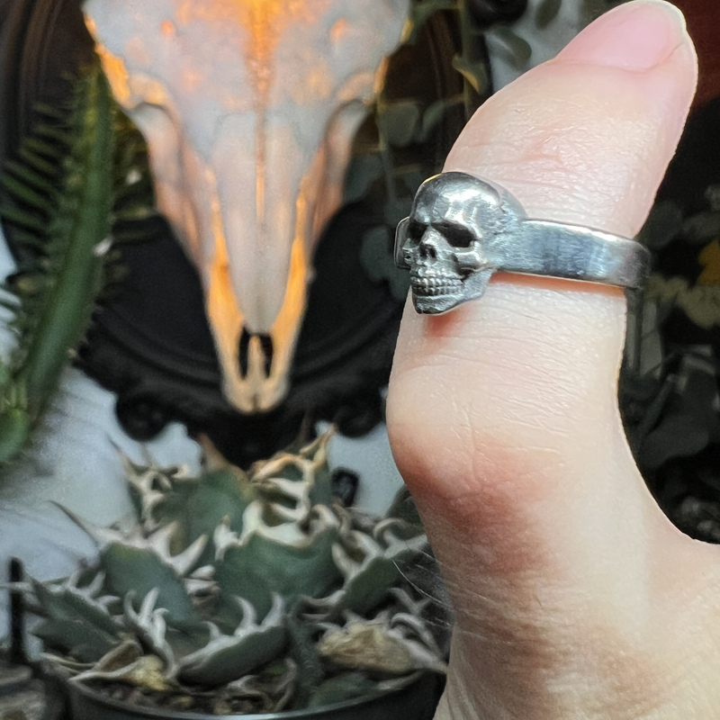 Original New Version of the Skull Series Small Skull Ear Clips Dark Silver Jewelry for Men and Women Niche Unique Small Earrings