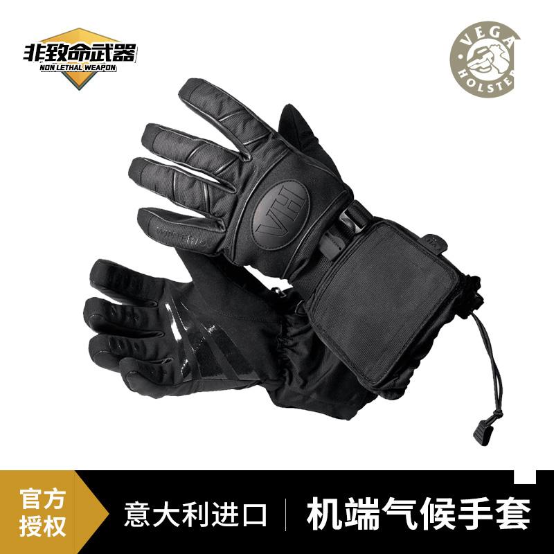 Italy imports VEGA - Extreme Climate Gloves - Polar Gloves - Warm Gloves warm gloves