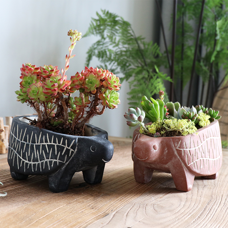 Creative abstract cartoon animal elf cement flower pot succulent flower pot turtle decoration ornament tribal animal gardening