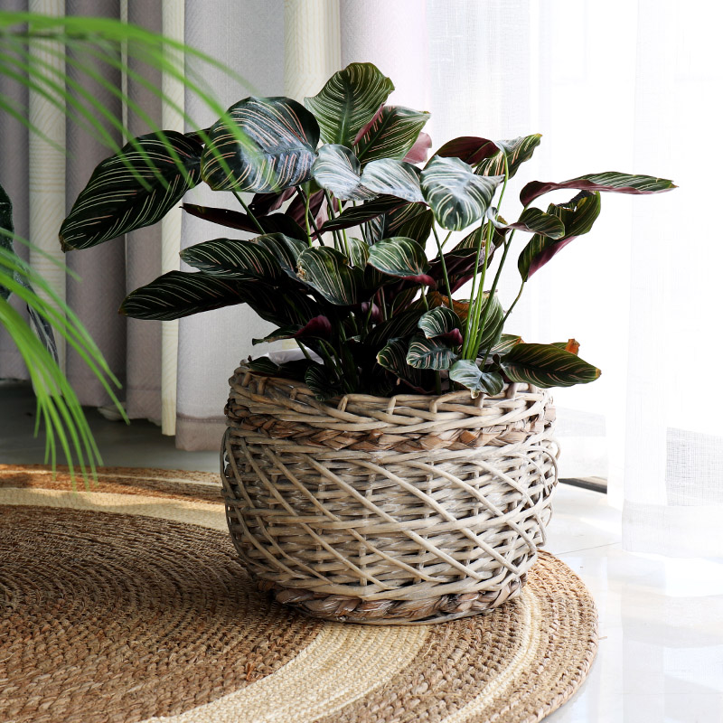 Retro pure hand woven large flower pot vines Woven Flower Basket Garden garden basket Decorative Set Basin Balcony Garden Pendulum