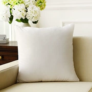 Bông chà nhám gối lõi 4550 đệm lõi 55 gối gối lõi lõi 7D cotton đầy đủ gối mềm