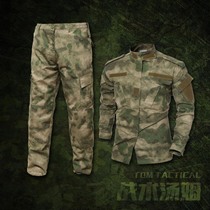 A- TACSFG jungle ruins color training suit tactics Tom foreign trade materials domestic re-engraved green ruins
