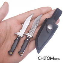 Mini Straight Knife Collection Damascus Steel Keychain Tool Fruit Knife Pocket Knife Pocket Knife High