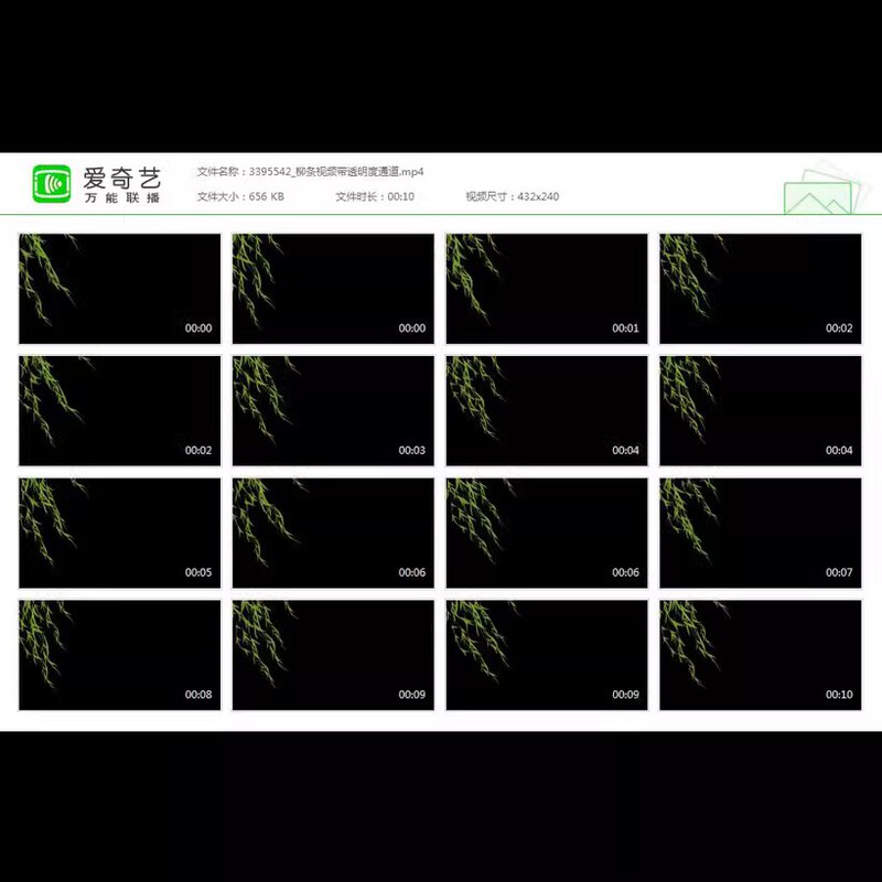 Willow Branches Video with Transparent Channel Background Video Material Willow Branches Video with Transparent Channel Background Video Material