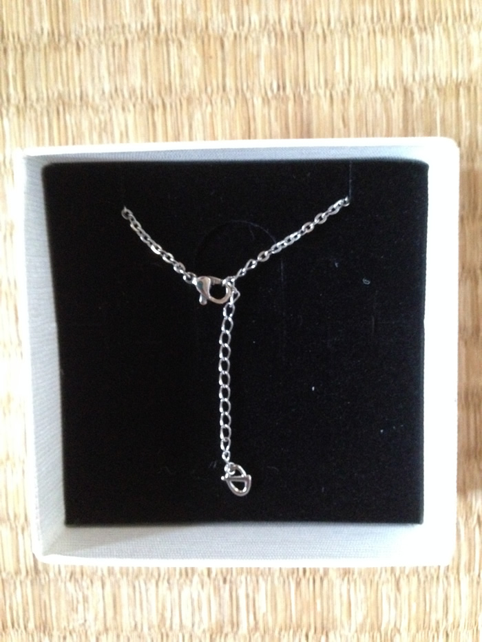 Japanese original dress Phiten Fvine small bean pure titanium water soluble titanium necklace Item ring neck ring female