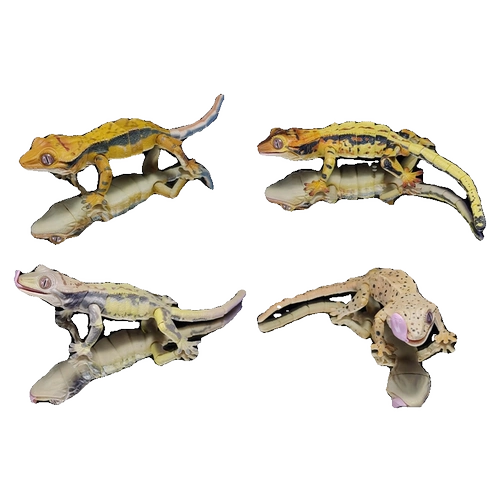 Spot Bandai Японская подлинная биологическая биография Crown Mao Dog Dog Cano Wallpot Lizard