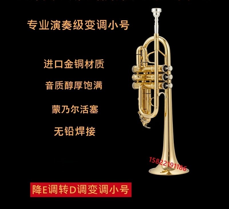 专业变调小号TR-6338降E转D调小号变调小号专业演奏成人儿童乐器