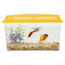 Portable square plastic mulled tank fish tank pinning crab crab small tadpole goldfish rearing box Brazilian tortoise snail