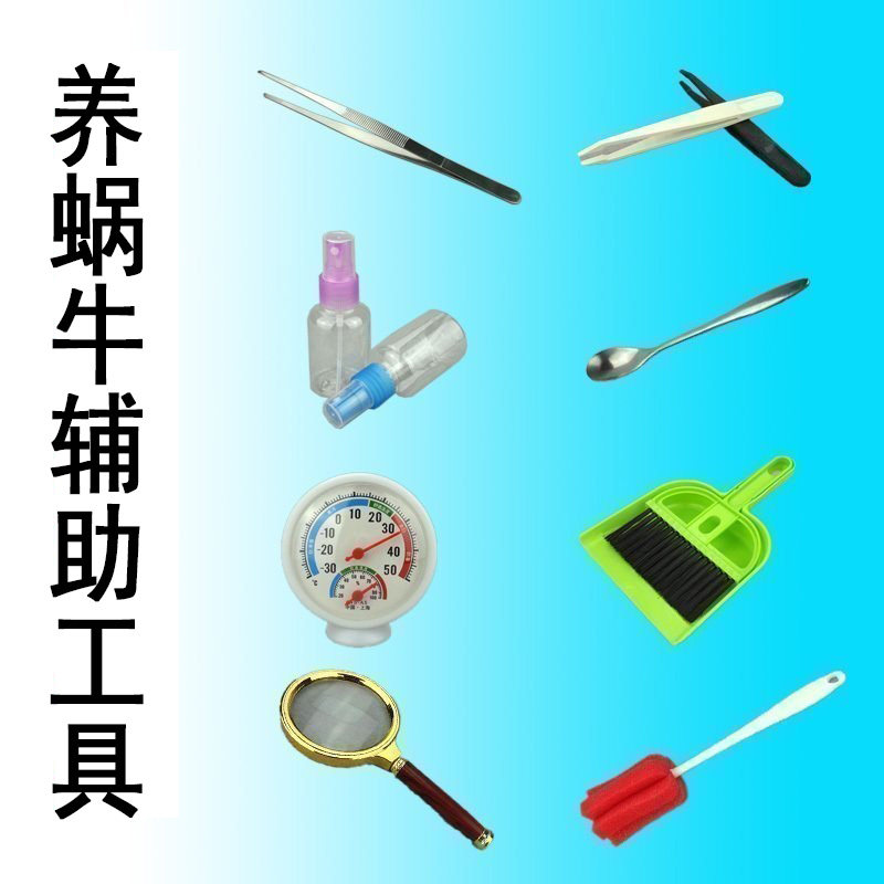 White jade snail special tool auxiliary spray bottle tweezers magnifying glass cleaning brush temperature and humidity meter heating pad spoon