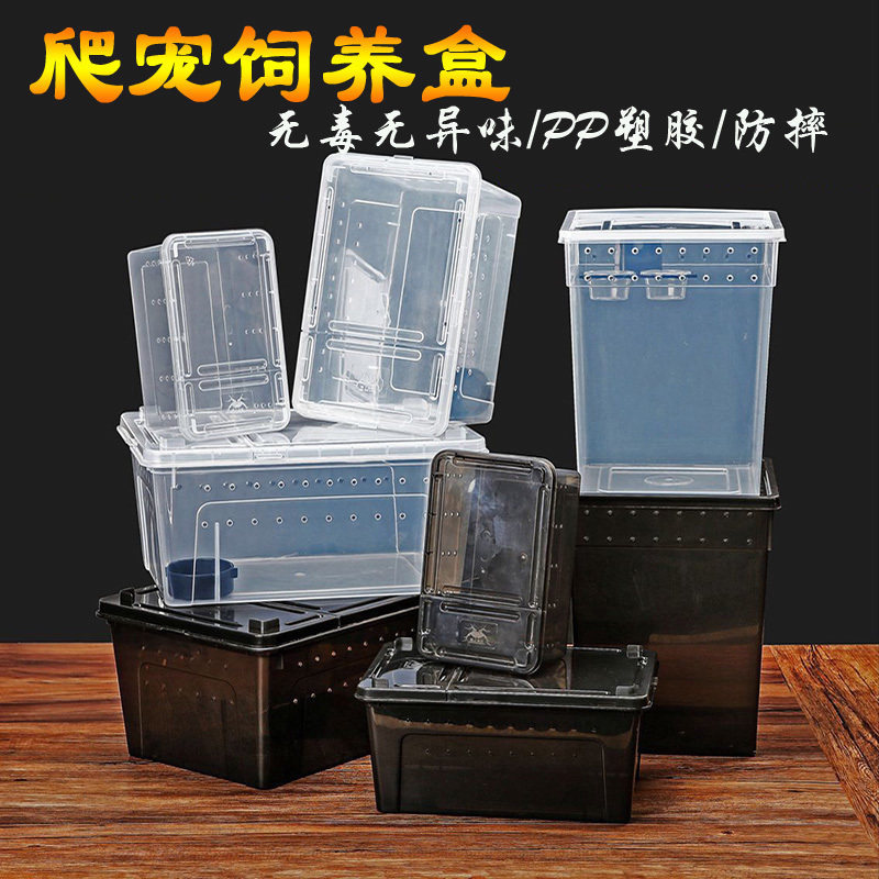 Climbing pet feeding box gecko lizard spider scorpion pet nest feeding box reptile snail special box