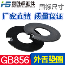 GB856 wai she zhi dong washer outer tongue zhi tui dian off-chip tongue washer M4 5 6 8 10 12 14-64