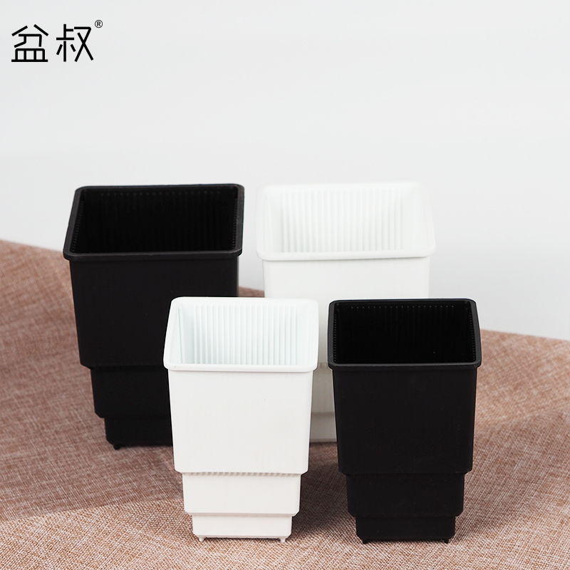 Store beauty of the basin Uncle Flowers control root High waist square basin Vientiane basin Old pile twelve volumes of raw stone flower dwarf type Orchid flower pots