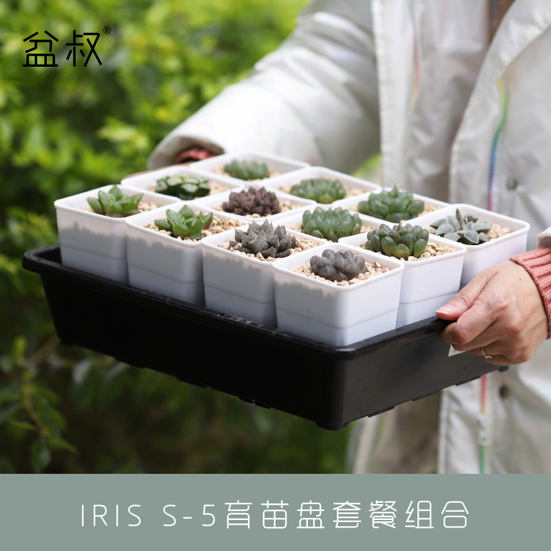 Alice S-5 nursery plate set IRIS with small black square Vientiane pot control root pot New material Uncle Bon's shop