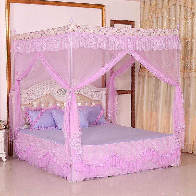 2020 new Marisa palace floor-to-ceiling mosquito net household 1 8m meter bed pattern account bracket three-door encryption
