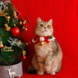 Чокер ручной работы, плетеный шарф, колокольчик, милый нагрудник, аксессуар, кот, домашний питомец