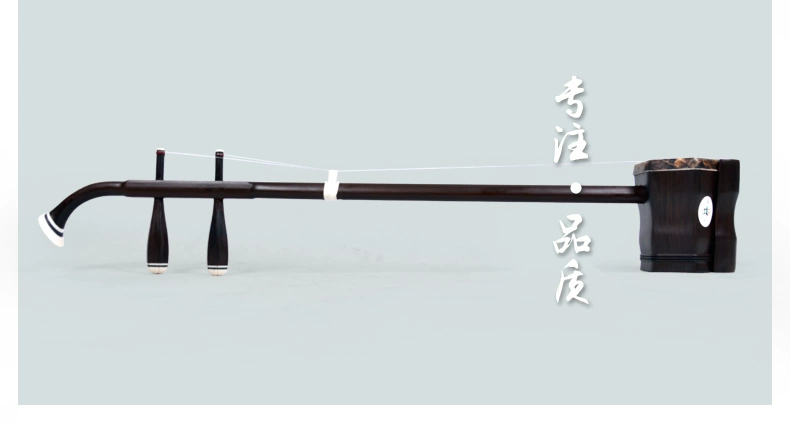 Lu Linsheng Erhu Tinh chỉnh Hai Sao Linsheng Erhu Nhạc cụ Người mới bắt đầu Giới thiệu Người lớn Chơi Erhu Nation đàn tranh cổ trang