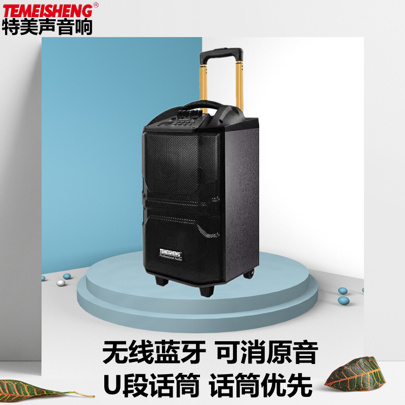 Temei Sound QX1229 Outdoor Sound Mobile Square Dance Rover Wireless Microphone portable Bluetooth Lalever speaker