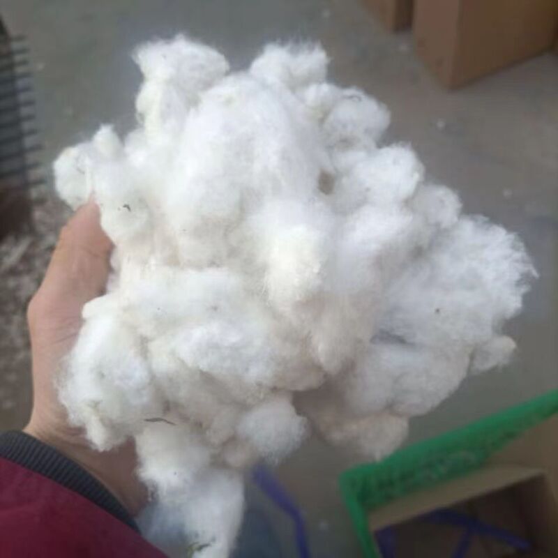 Seeded Cotton, Unprocessed First-Grade Loose Cotton, Farm-Produced, Authentic Pure Cotton, Wedding and Childbirth Cotton Seeded Cotton, Unprocessed First-Grade Loose Cotton, Farm-Produced, Authentic Pure Cotton, Wedding and Childbirth Cotton