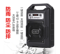 Daile S20 high-power outdoor square dance audio portable card USB flash drive Bluetooth charging portable speaker