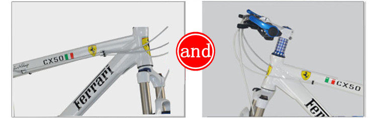 Autocollant pour vélo - Ref 2290860 Image 16