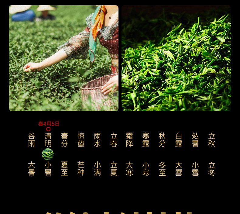西湖炒茶王出品 蓝翼 杭州西湖雨前龙井茶 500g 图12