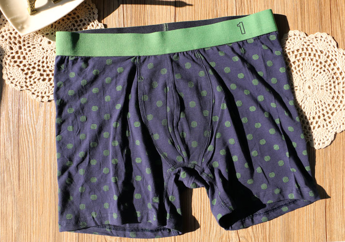 Bản gốc đơn giản in triều nam đồ lót cotton cao eo boyshort thanh niên thể thao thấm mồ hôi quần bốn điểm quan sip nam