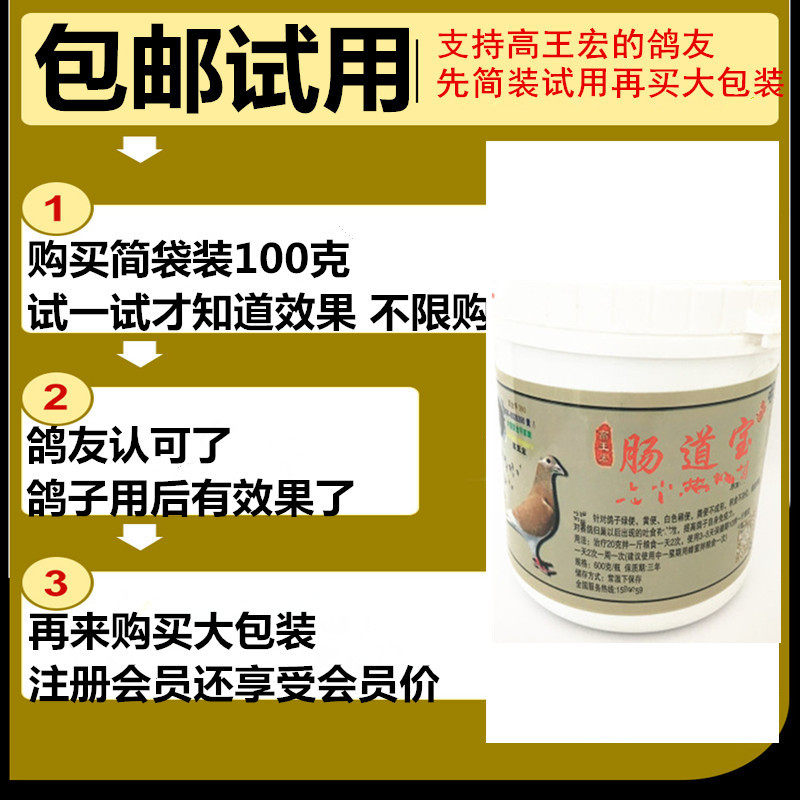 High Wang Wang Intestinal Treasure young pigeon racing pigeon-to-be-dove water pans green to savour the hair and stay in the gut