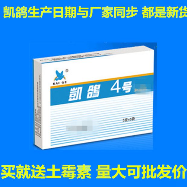 Chim bồ câu Kay thuốc chim bồ câu Kay chim bồ câu thứ 4 chim bồ câu chim bồ câu cung cấp chim bồ câu thuốc vẹt chim thường không có tinh thần không ăn sữa nhổ 6 - Chim & Chăm sóc chim Supplies thức ăn chim bồ câu