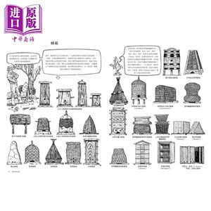 图解蜜蜂与养蜂 认识蜜蜂的一生，从制作蜂箱到采蜜的全面自学指南 港台原版 伊夫.顾斯坦 积木文化 自然科普 动物【中商原版