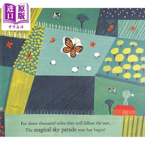 Hannah Tolson：Look to the Skies 仰望星空 英文原版 进口图书 亲子故事绘本 儿童读物 图画故事书 4-6岁【中商原版】