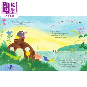 预售 Tom Percival:Dream Big, Little Mole 小鼹鼠的大梦想 英文原版 进口图书 故事绘本 亲子绘本 插画小说 4-6岁【中商原版】
