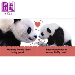DK触摸启蒙熊猫 DK Baby Touch and Feel Panda 触摸书 低幼启蒙入门 纸板书 英文原版 3-6岁【中商原版】