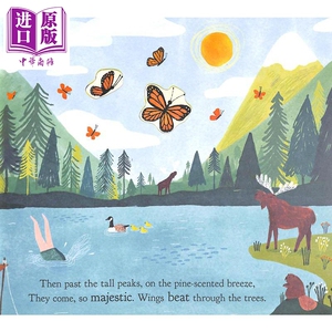 Hannah Tolson：Look to the Skies 仰望星空 英文原版 进口图书 亲子故事绘本 儿童读物 图画故事书 4-6岁【中商原版】