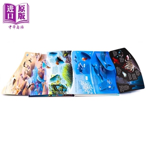 See Inside Oceans 看里面：海洋 儿童海洋知识科普绘本 精装 英文原版 9-12岁【中商原版】