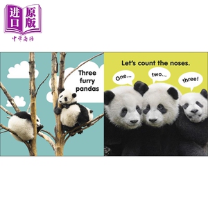 DK触摸启蒙熊猫 DK Baby Touch and Feel Panda 触摸书 低幼启蒙入门 纸板书 英文原版 3-6岁【中商原版】