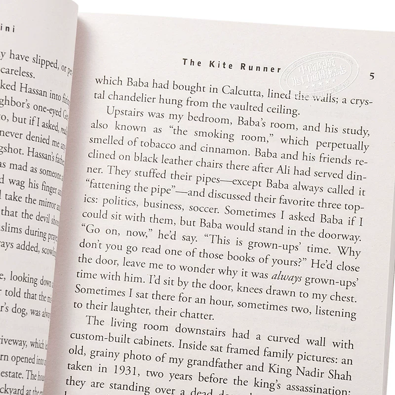 [【】The Kite Runner flipped]