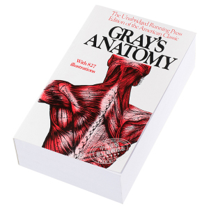 预售 格氏解剖学 英文原版 Gray’s Anatomy Henry Gray【中商原版】