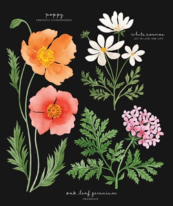 有意义的花束：创造特殊的花语 25种美丽的搭配 英文原版 Meaningful Bouquets Leigh Okies Chronicle Books 花艺 书籍