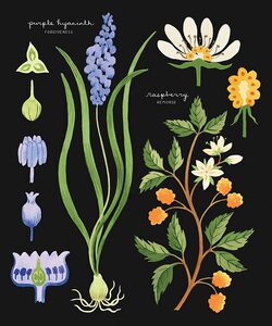 有意义的花束：创造特殊的花语 25种美丽的搭配 英文原版 Meaningful Bouquets Leigh Okies Chronicle Books 花艺 书籍