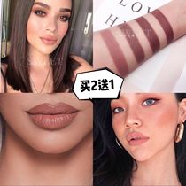 Cool European and American style fried handsome brown lipstick Chocolate color network red color nine with the same dark lipstick