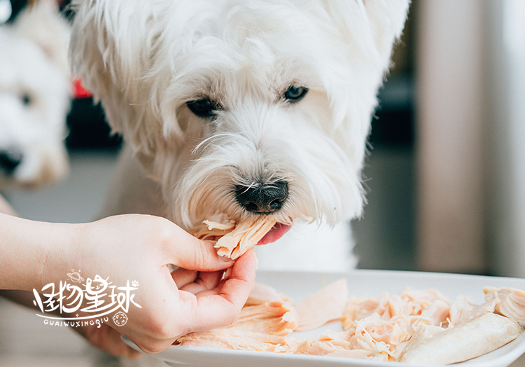 Petio Pai Di Nhật hấp Gà nhỏ ức gà Gà phô mai Keji Teddy Phương pháp ăn vặt Dog Snacks - Đồ ăn vặt cho chó pate chó