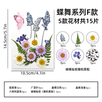 Светло-серая танцевальная серия бабочек F Версия 15