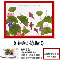 Koi Lotus Pond+Красная Фото кадра