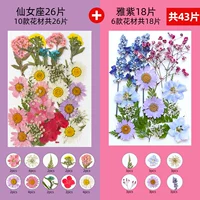 Золотая сказочная сиденье 26 таблетки+yazi 1