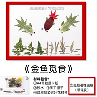 Золотая рыбная корма+красная фотомочная рама