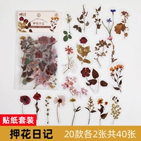 Прозрачная наклейка-джушуо дневник