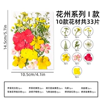 Red Huazhou Series I Series I Страбки модели-33