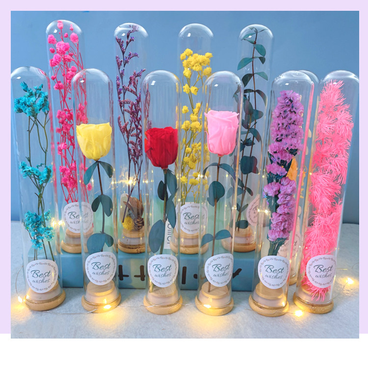 Подробная информация о Test Tube Flower_11.jpg
