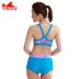 Yingfa phụ nữ tách boxer bikini áo tắm giải trí ngực nhỏ tập hợp đồ bơi bãi biển suối nước nóng Y1602 - Bộ đồ bơi hai mảnh